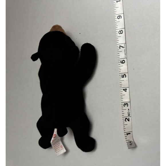 Ty Beanie Baby Blackie The Bear Plush Toy Tagless - Picture 5 of 5